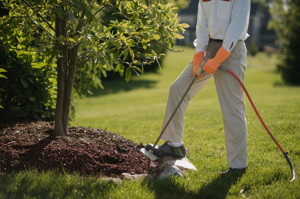 Lawn care professional wearing orange gloves performing deep root feeding on a tree, injecting nutrients into the soil around the base in a landscaped yard.