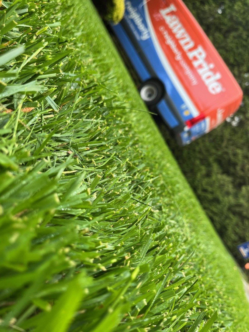 Fescue blades with Lawn Pride van