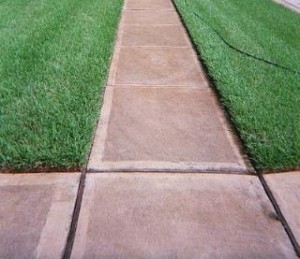 Sidewalk grass deals edger