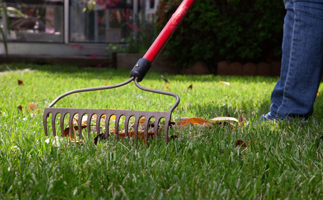 Fall lawn care is vital to a green, healthy lawn in the spring - Lawn Pride