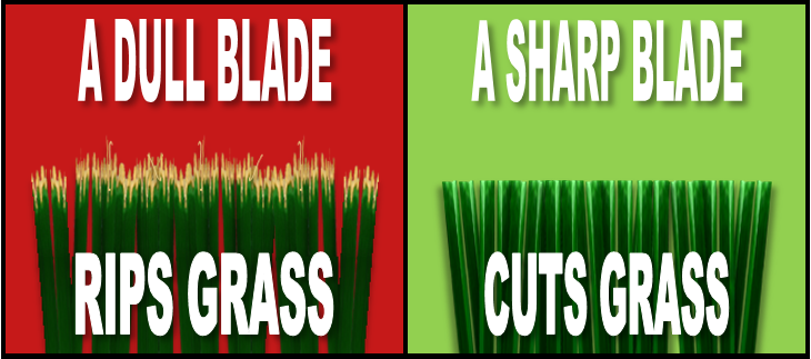 Grass cut discount with dull blade