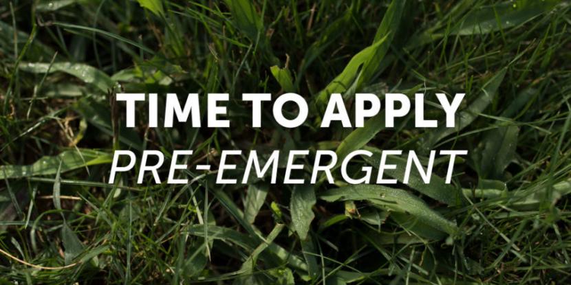 When To Apply Pre Emergent In Massachusetts When To Use Pre-Emergent | Lawn Pride
