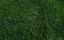 Kentucky Bluegrass Lawn Pride Indianapolis fertilizer and weed control