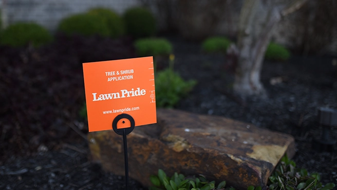A Lawn Pride wooden board on soil.