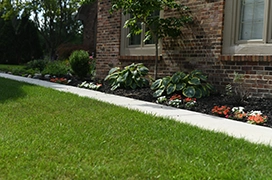 Concrete edging installed along garden.