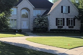 Lawn.