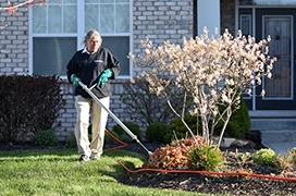 Applying fertilizer around a tree.