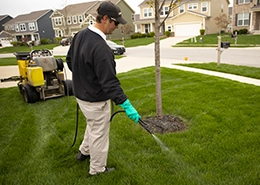 Spraying pesticide or herbicide on plants in an outdoor area.