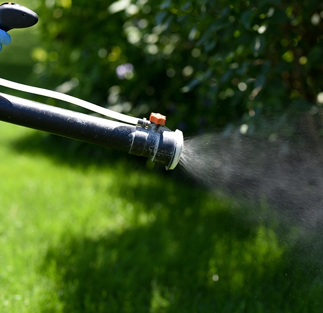 Spraying in a garden.