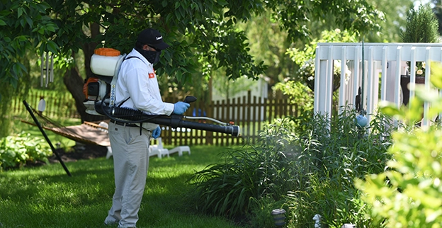 Worker spraying pest control in garden.