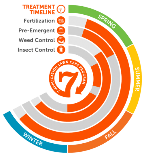 7 App timeline.