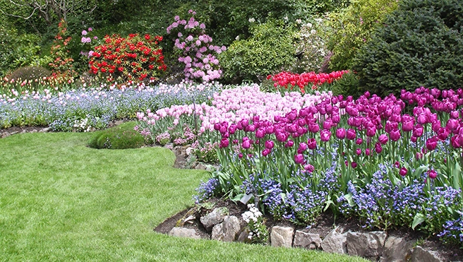 Edged color.