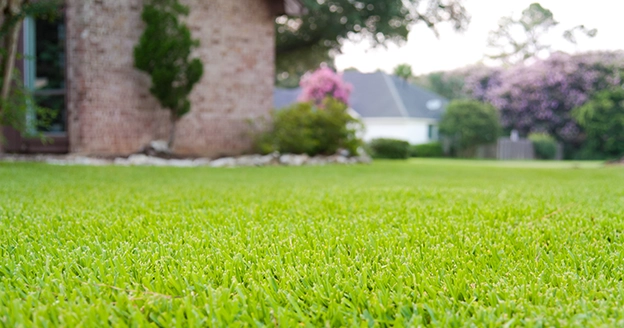 A house in a grass field with flowers.