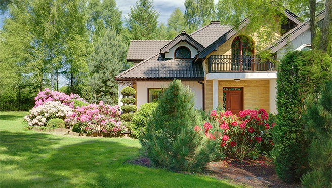 Garden.