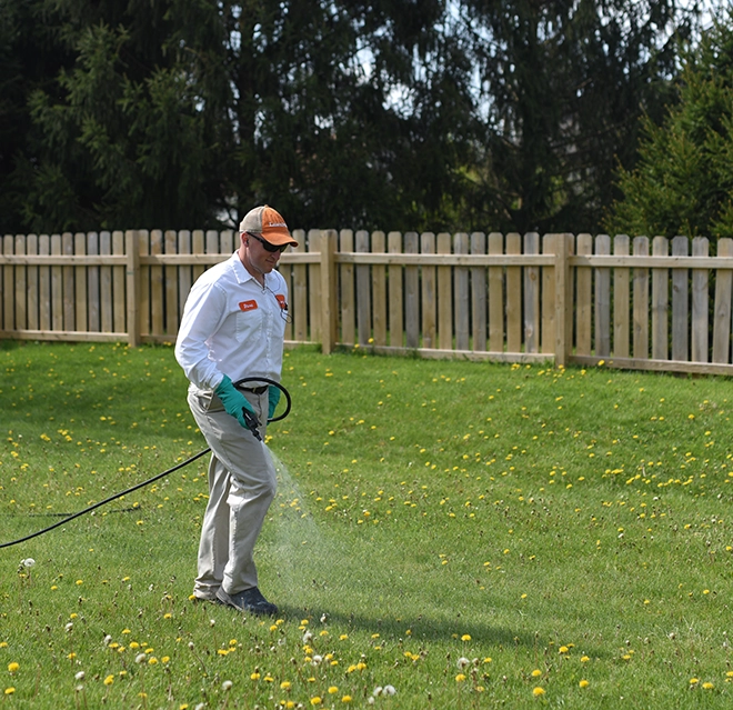 A man watering grass field.