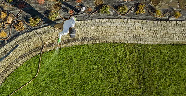  A man watering grass.