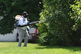 Perimeter pest.