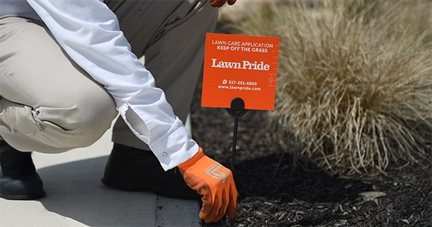 A Lawn Pride employee placing a Lawn Pride sign in the mulch by a sidewalk.