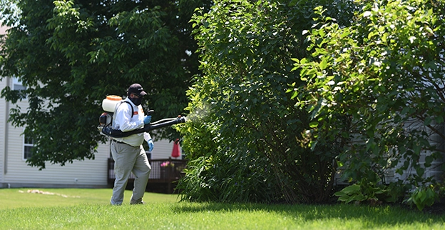 A landscape worker using a spray machine to treat trees.