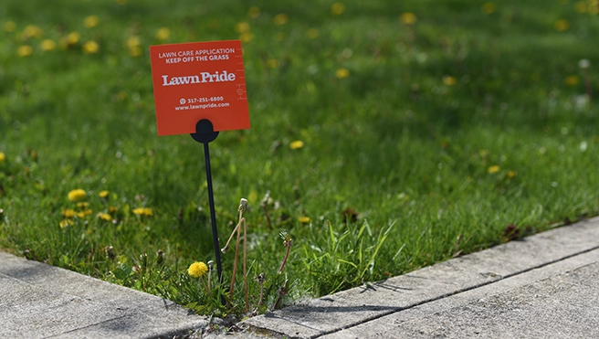 A yard sign placed on a lawn.