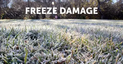 Freezing temperatures, snow, sleet, and ice.