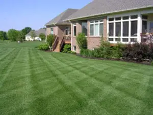 There are many factors that make a lawn what it is.