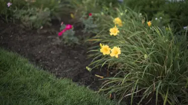 April shower will bring May Flowers.