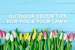 A row of pink, white, and yellow tulips lines the bottom of a blue wooden background.