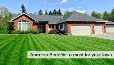 Aeration Benefits.