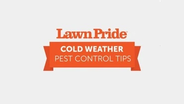 Cold Weather Pest Control.