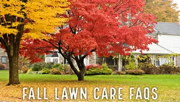 Fall Lawn Care and Fertilization Info - Lawn Pride.