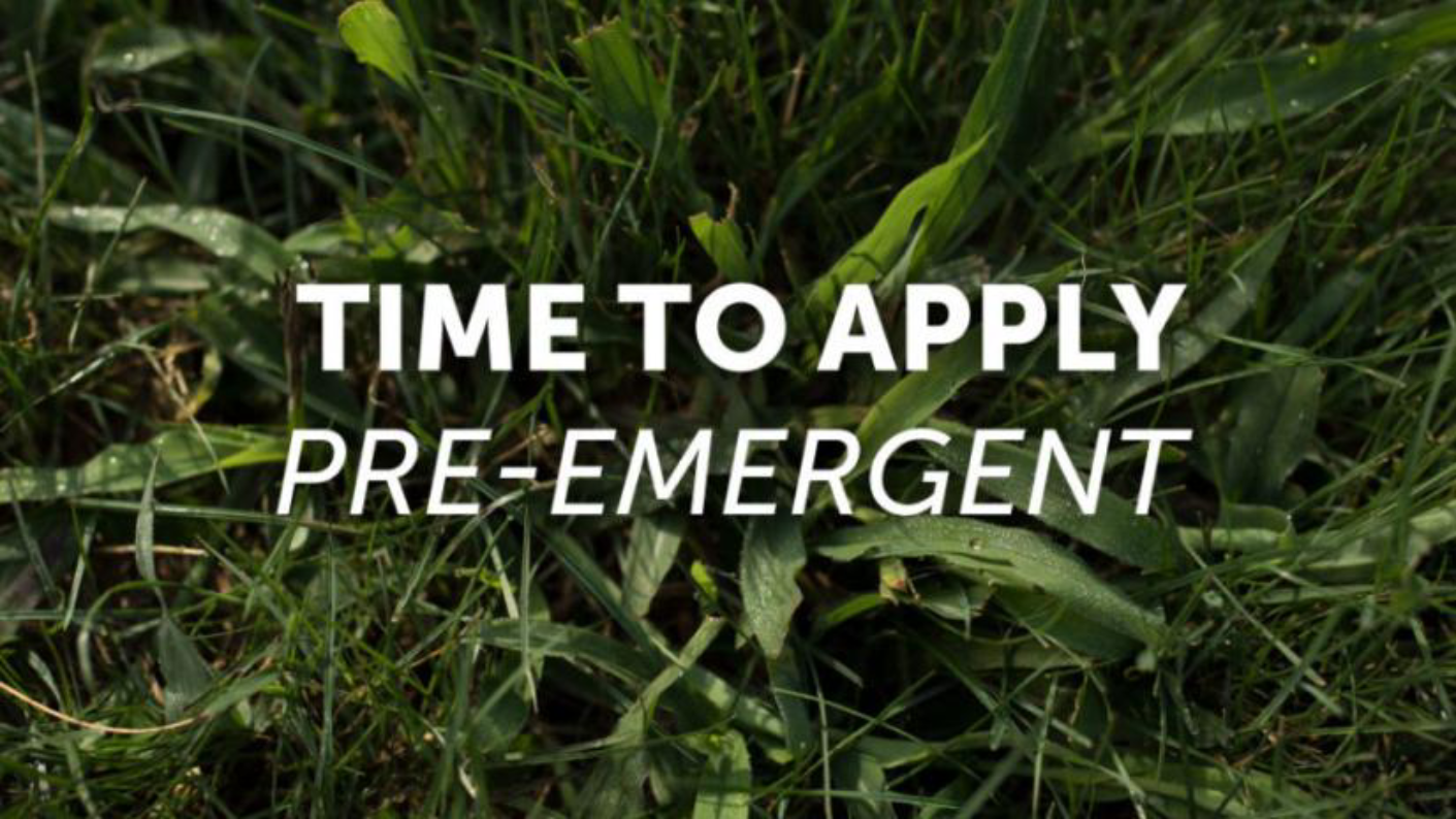 Grass background with text 