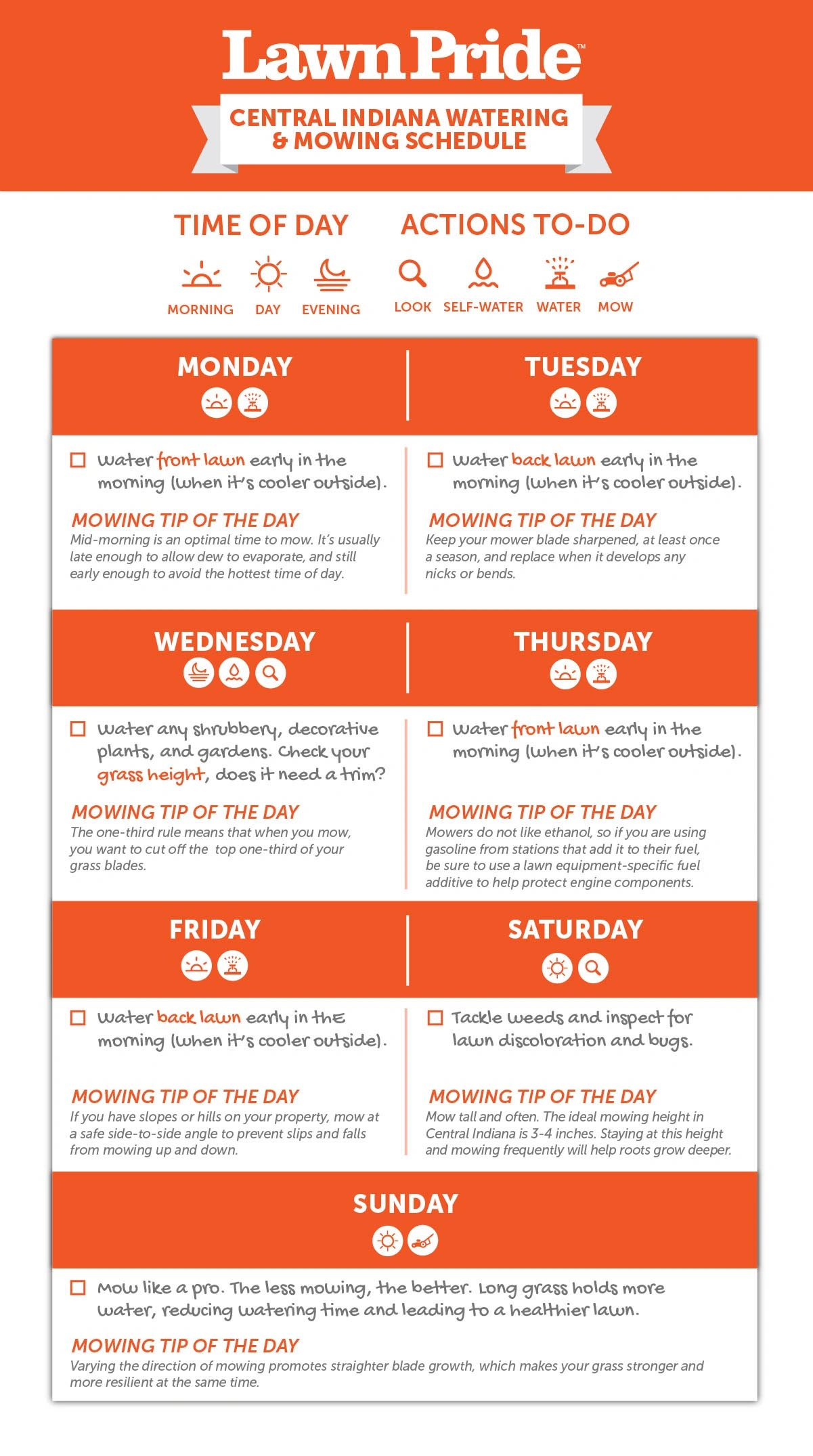 Infographic Calendar-1