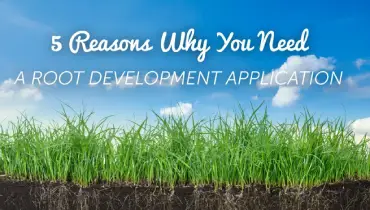 Root development application.