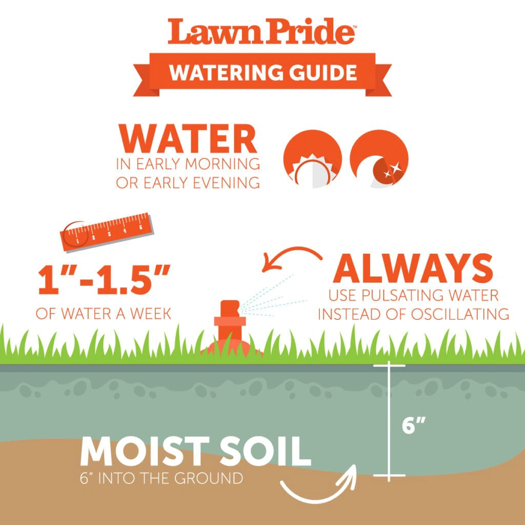 Watering Guide Chart.