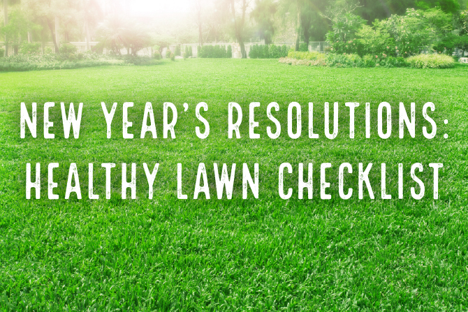 2017 New Year's Resolution: Healthy Lawn Checklist | Lawn Pride