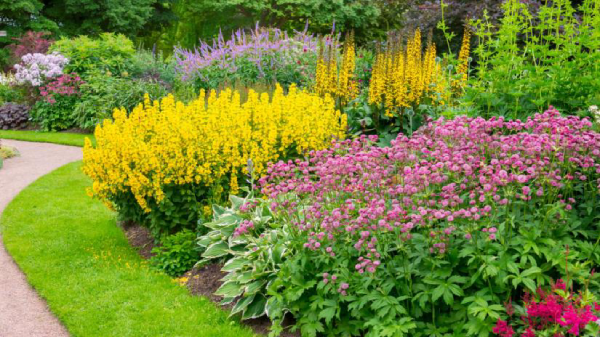 A garden with a curved path, bordered by lush green grass and vibrant flower beds featuring yellow, pink, and purple blooms, surrounded by leafy plants and trees.