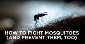 Prevent Mosquitoes in Your Lawn