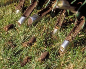 Indianapolis aeration and lawn care services, Lawn Pride.