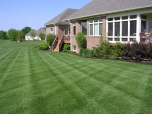 lawn pride indianapolis lawn care