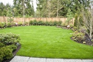 Lawn Pride fertilization and weed control