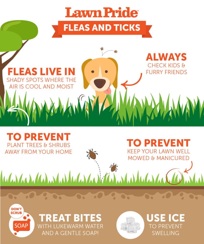 Flea and Tick Protection
