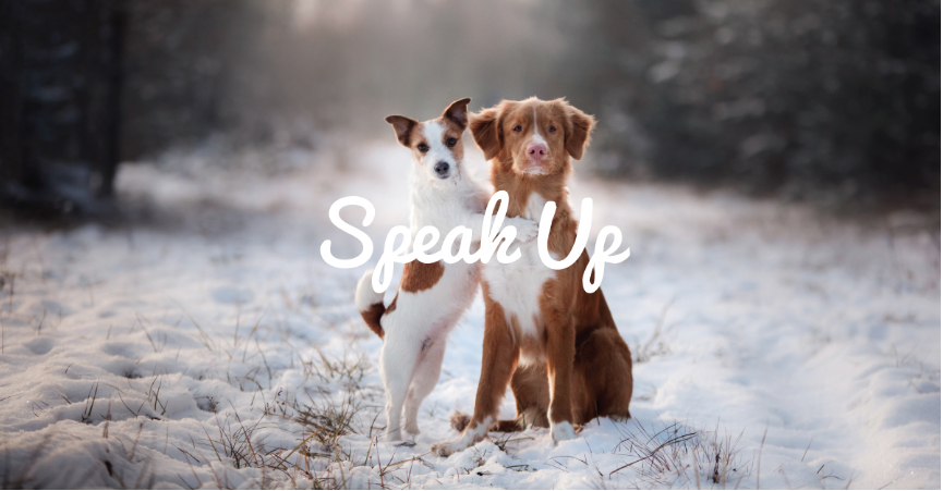 Speak Up